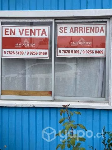 casa en Arauco amplio terreno