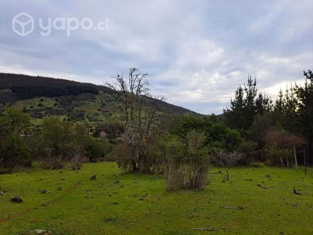 Venta de terreno 6 ha con pinos