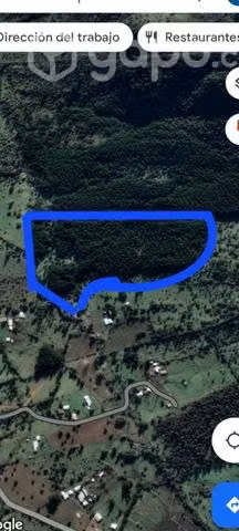 Venta de terreno 6 ha con pinos