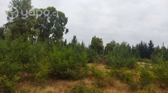 Terreno en Los Ángeles