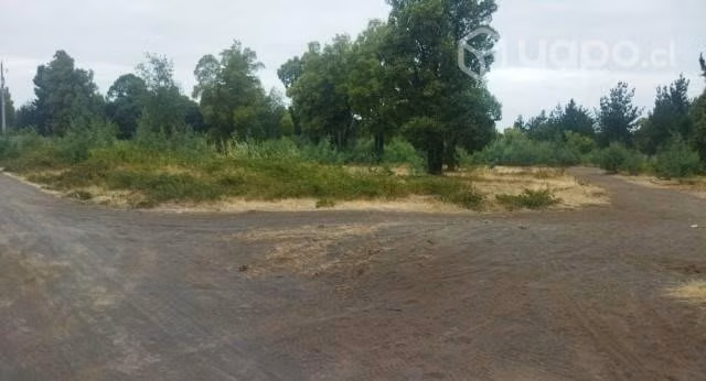 Terreno en Los Ángeles