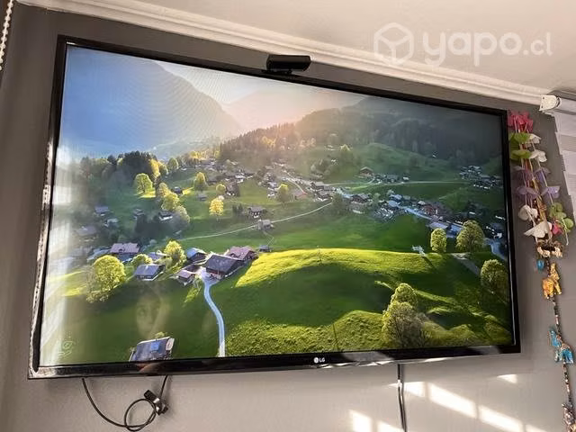 Televisor full hd LG+roku+soporte