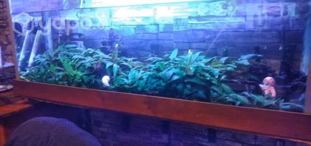 Acuario completo