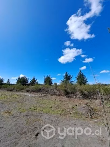 Campo de 1 hectarea en campanario