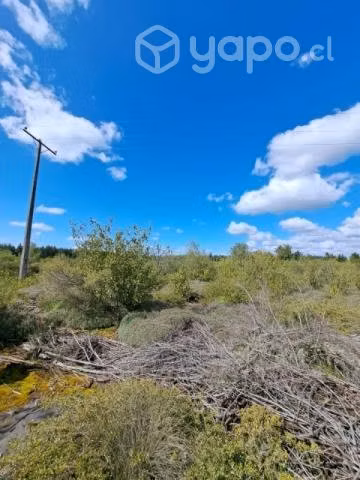Campo de 1 hectarea en campanario