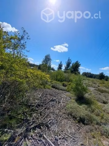 Campo de 1 hectarea en campanario