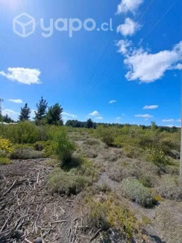 Campo de 1 hectarea en campanario