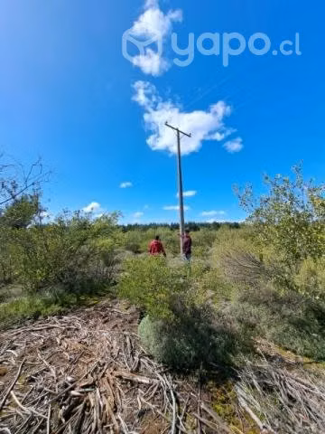Campo de 1 hectarea en campanario