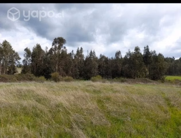 Parcela Traiguen