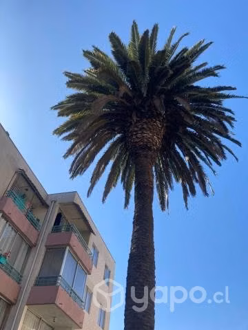 Departamento en La Cisterna - Imagen 2