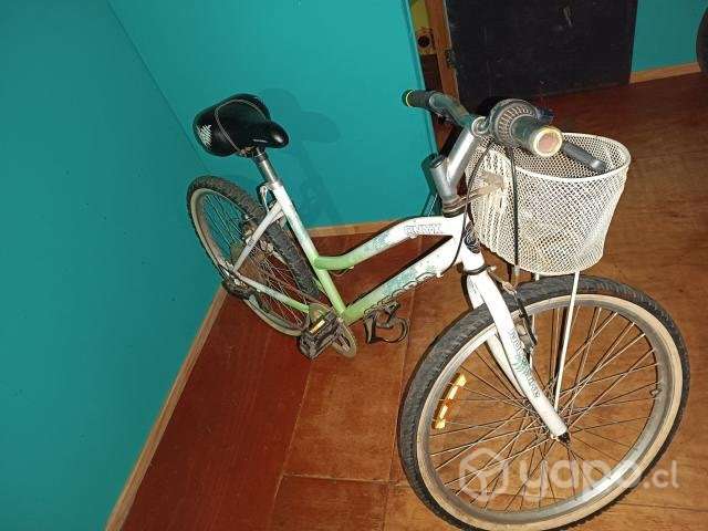 Bicicleta OXFORD - Imagen 2