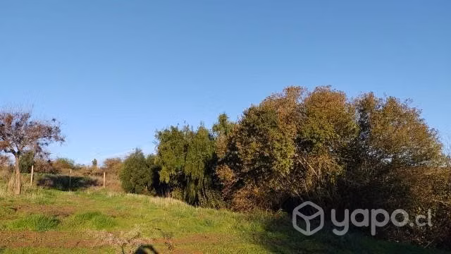 Vendo Parcela en Lomas de Litueche - Imagen 6