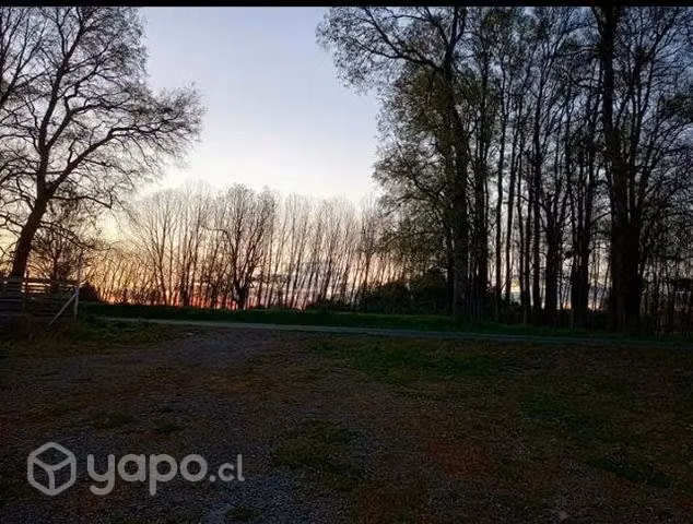Terreno 1.200 mts.2 las quemas bajas