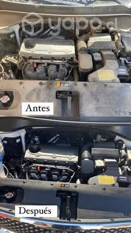 Lavado automotriz