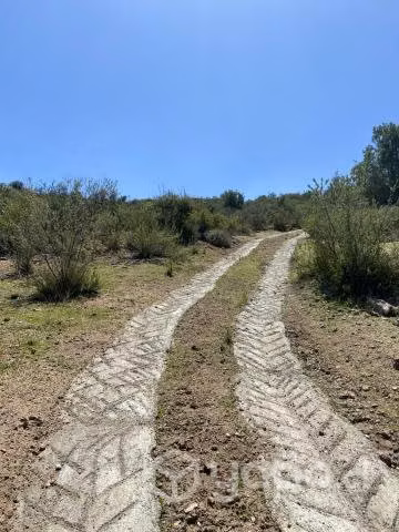 Caleu. lugar magico - Imagen 9