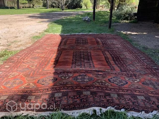 Venta de alfombra - Imagen 3