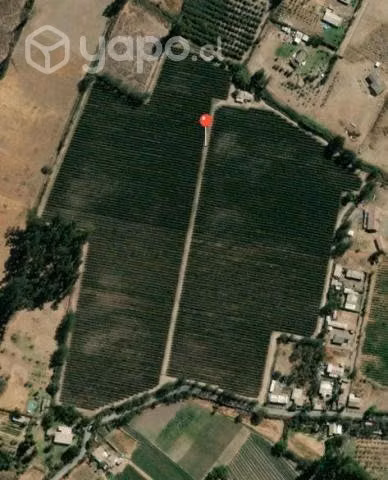 90.000 mt2 viña con rol propio - Imagen 6