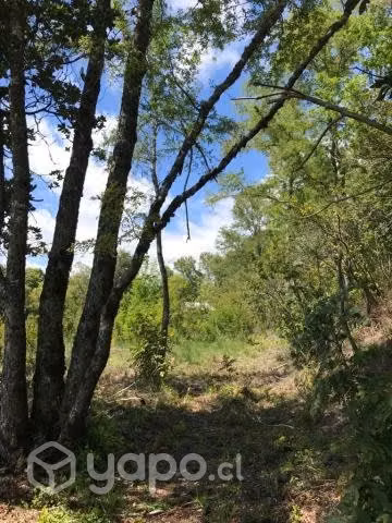 Parcela en Metreñehue