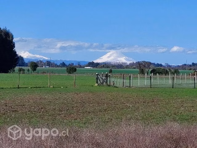 Parcelas sector Perquenco