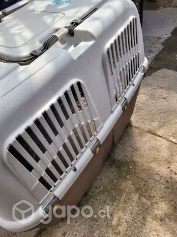 Se vende Canil o transportin XXL perro - Imagen 3
