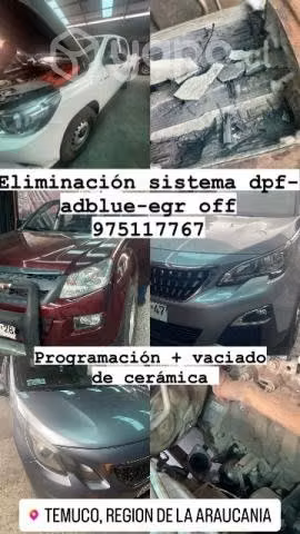 Solución dpf adblue egr