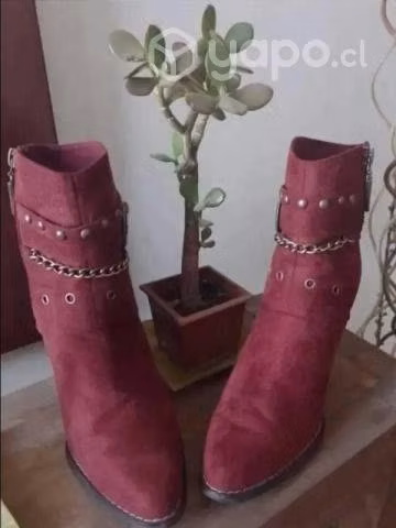 Botines Color Burdeo # 38