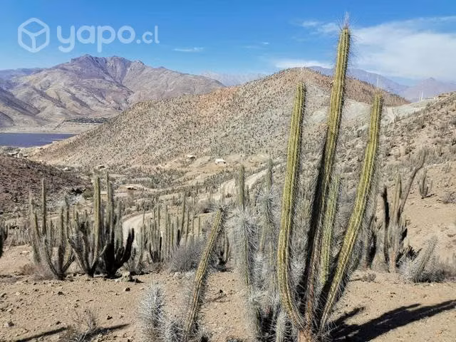 Parcela sector Puclaro