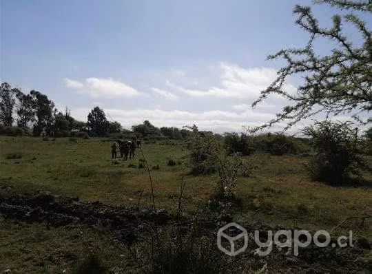 Parcela parral