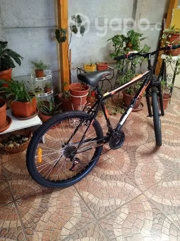 Dos bicicletas una de hombre y otra de mujer