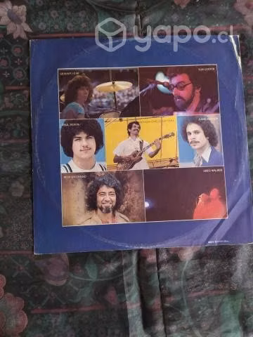 Vinilos