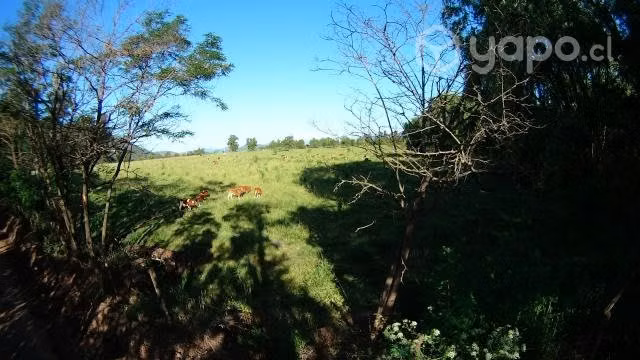 Parcela Sector Santa Isabel