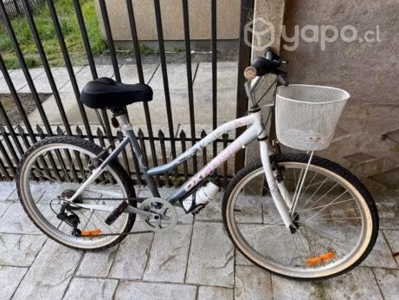 Bicicleta oxfort de paseo aro 24