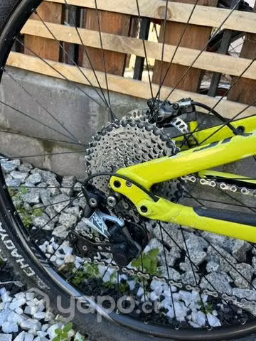 Specialized camber 29