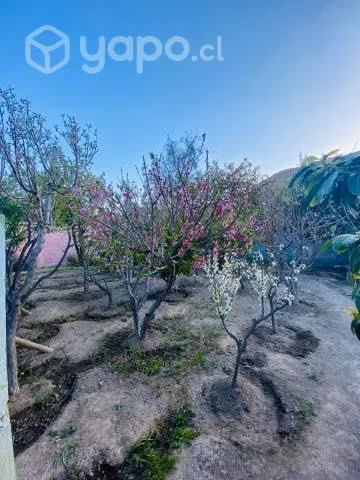 Casa en Vicuña, consta 3D 2B, 677mts2 - Imagen 2
