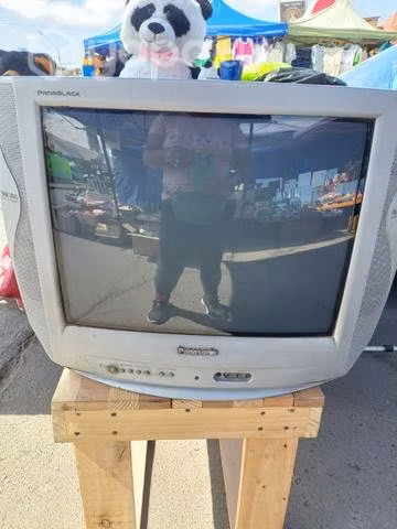 Televisor panasonic