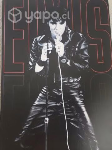 Poster cantantes rock años 70