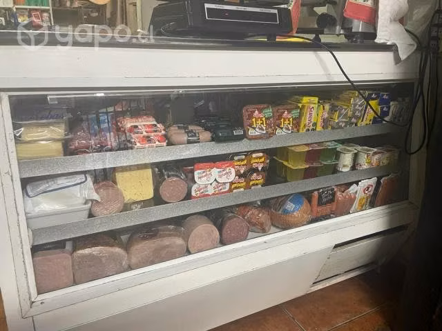 Conservadora + congeladora
