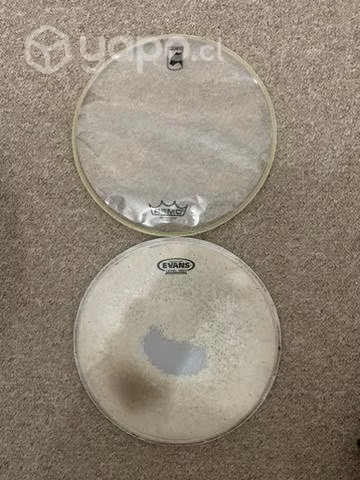 Evans Genera Dry 13 + Mapex Bordonero 13'