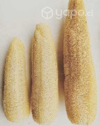 Luffa Producto Natural y Orgánico