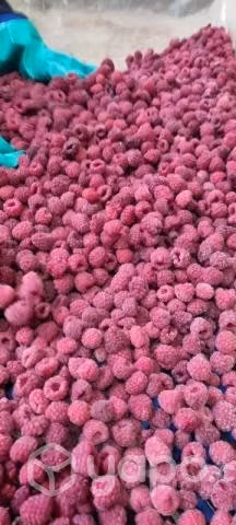 Frambuesa congelada