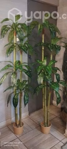 Vendo lindas plantas y árboles. Artificiales