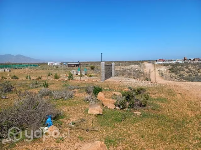 Parcela Porotitos - Imagen 5