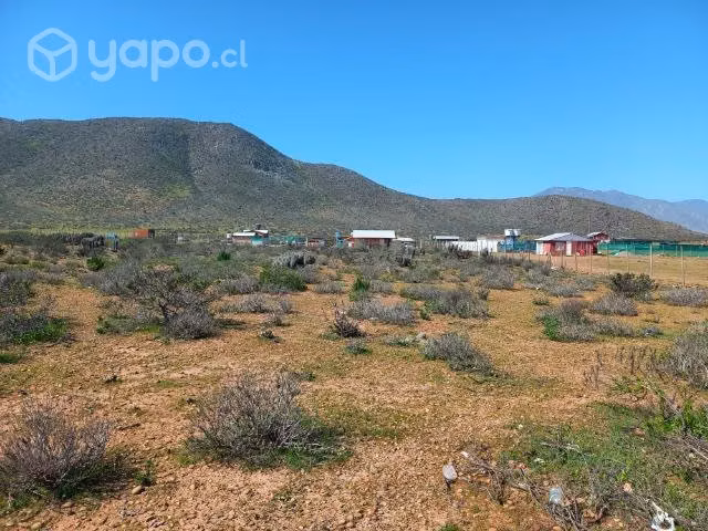 Parcela Porotitos - Imagen 6