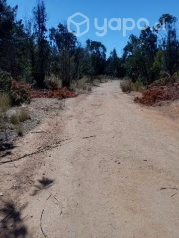 Se arrienda terreno