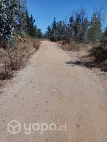 Se arrienda terreno