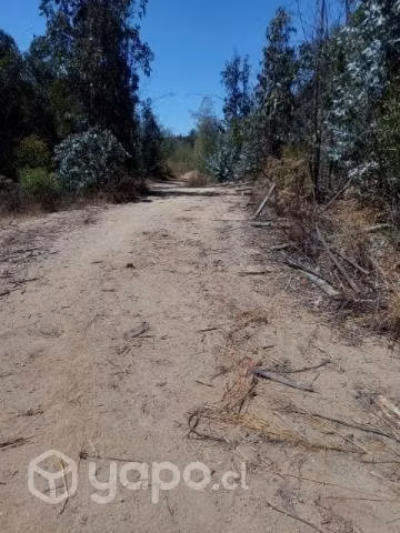 Se arrienda terreno