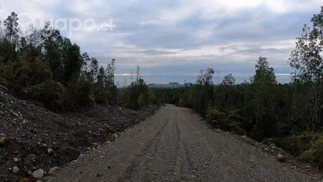 Parcela altos de lenca - Imagen 5