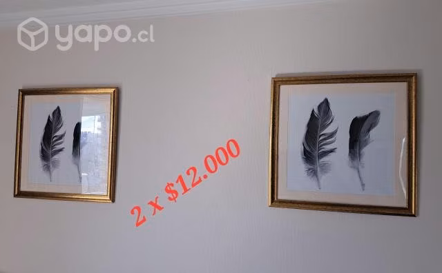 Cuadros pared