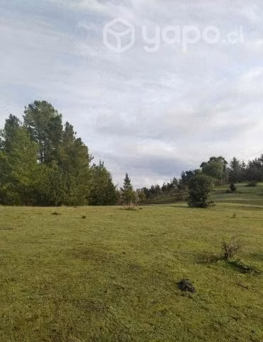 1.5 hectareas en LAJA, sector Santa Ana