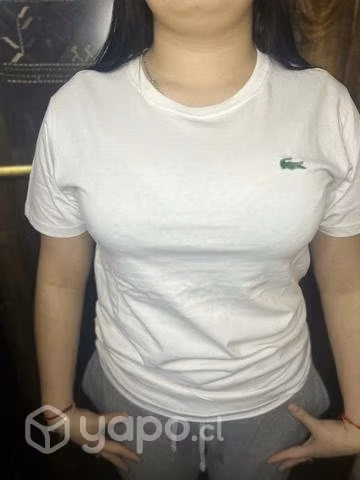 Poleras Lacoste